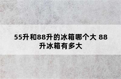 55升和88升的冰箱哪个大 88升冰箱有多大